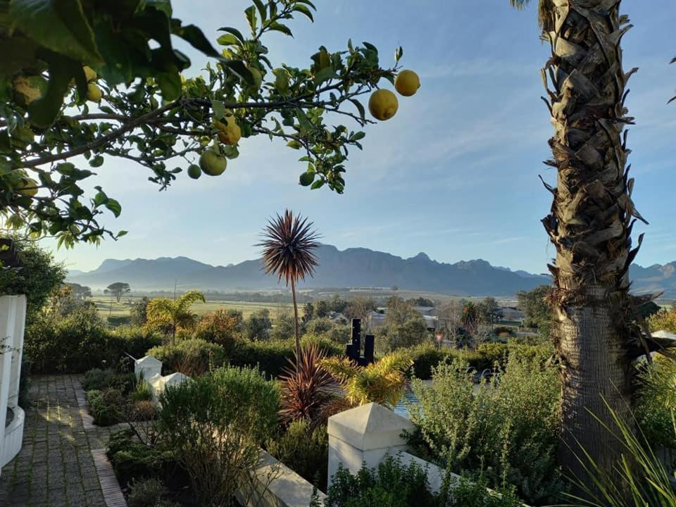 Landhaus Wild Mushroom Stellenbosch